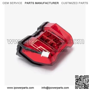 Tail Light Assembly for Loncin LX650-2C,Voge 650DSX Euro 5 LX650-2C-E5 CMPO LED